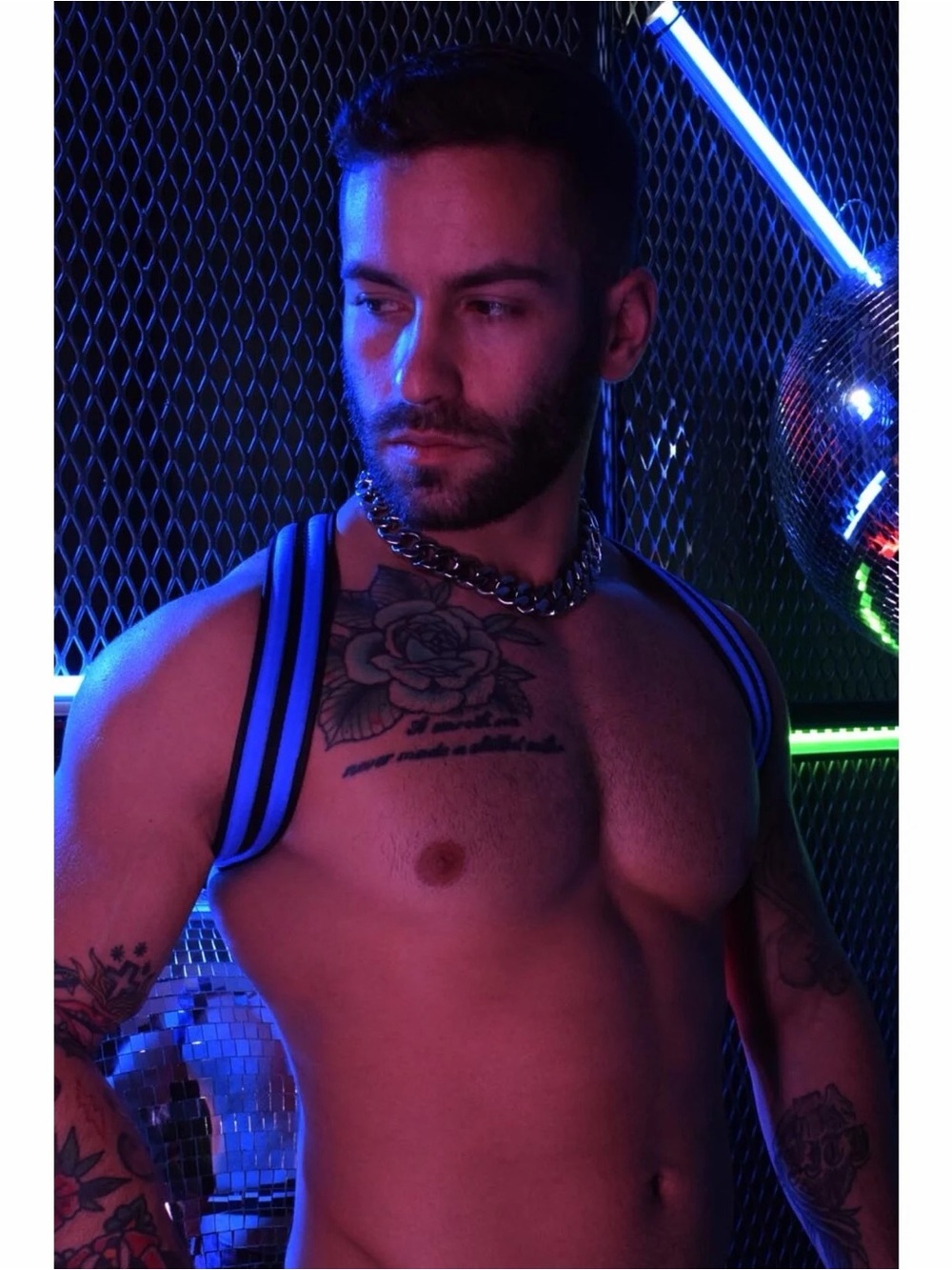 Breedwell Gear Rave Shoulder Harness